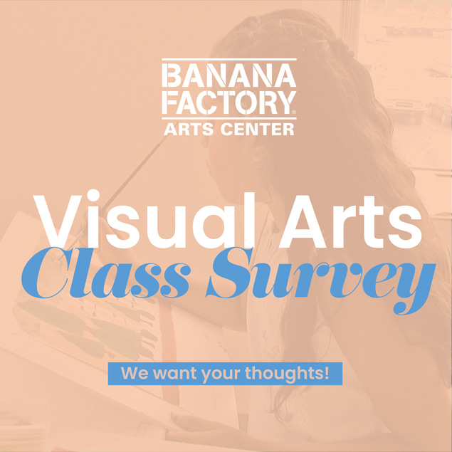 visual-arts-class-survey